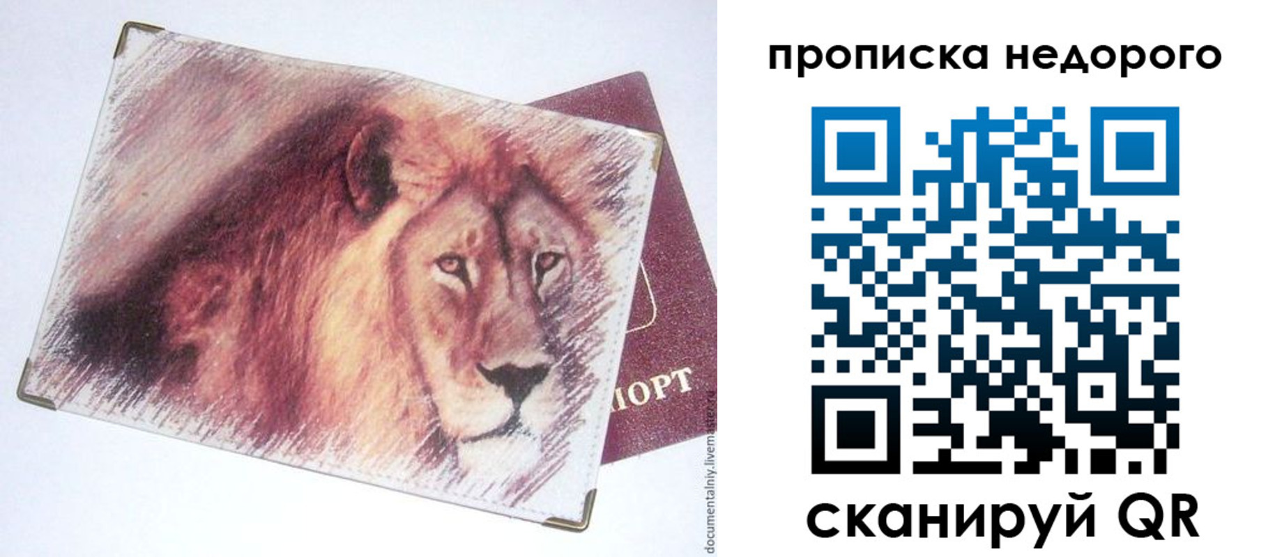 прописка регистрация в Краснодаре